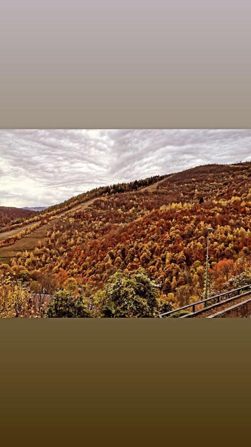 Appartamento CHALET LAVANDA San Giacomo di roburent Esterno foto